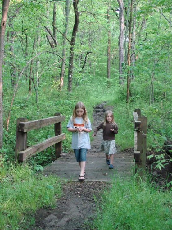 two young children walking along a wooden bridge in the forest