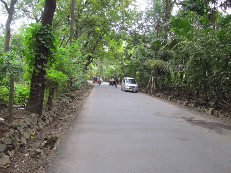 cars parked on the side of the road