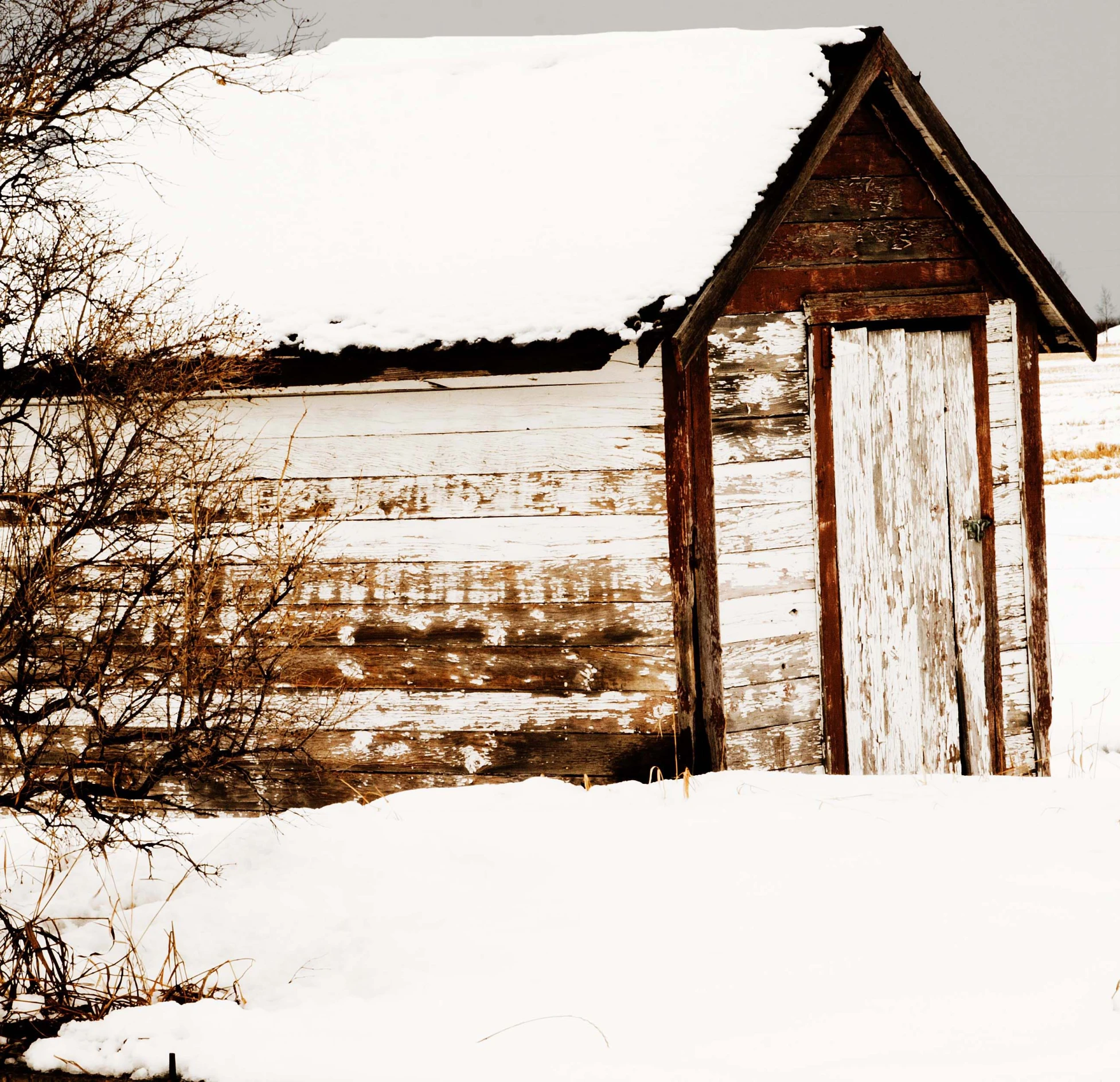 an old wooden shed next to a tree covered in snow