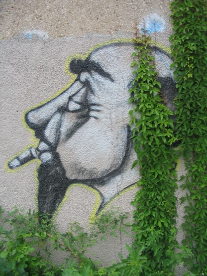 a plant is climbing up the side of a wall, which has been graffitted