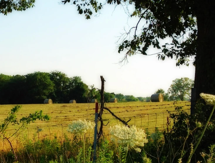 this is a view of the field in front of some hills