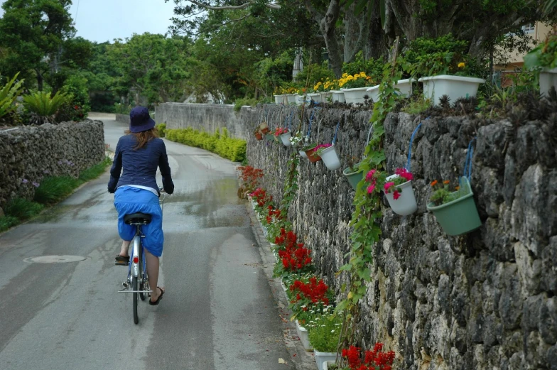 a person riding a bicycle past flowers on a wall