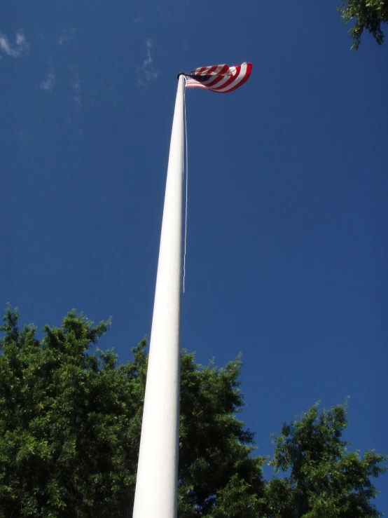 an american flag flies high above the tree tops