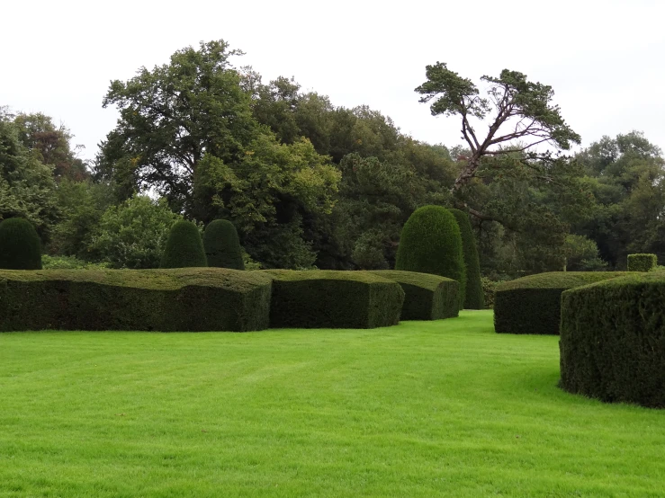 green grass and hedges are neatly arranged in a park