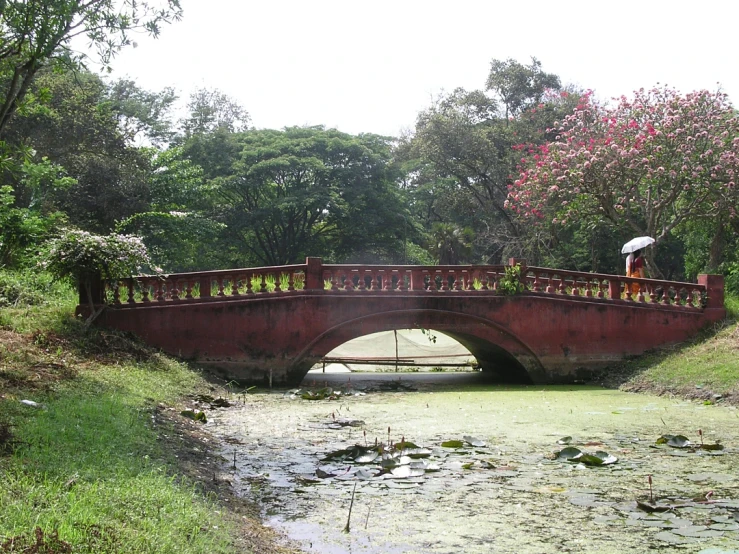 two people standing on a small bridge over a river