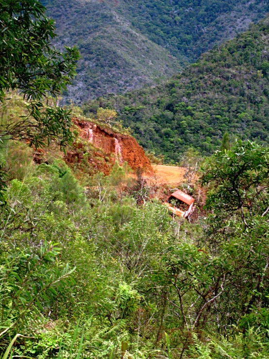 view of a car lying on its side from a distance in the woods