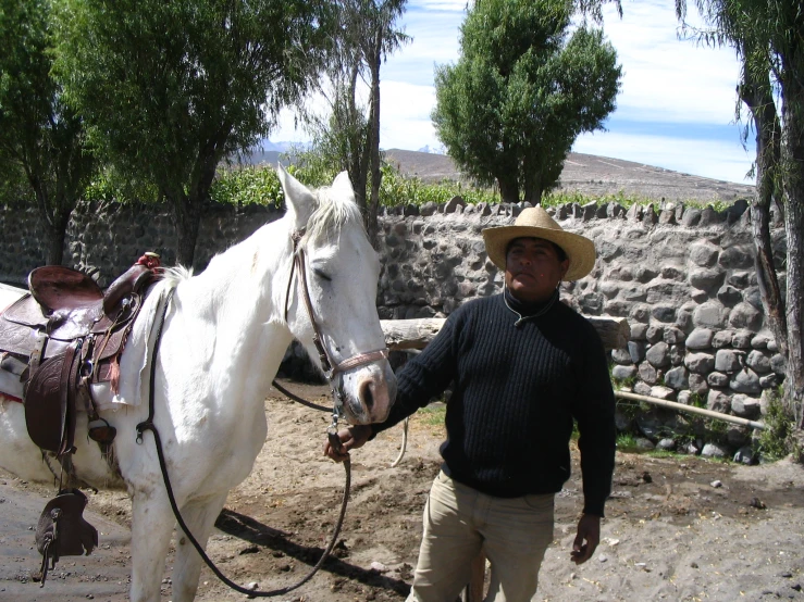 a man standing next to a white horse