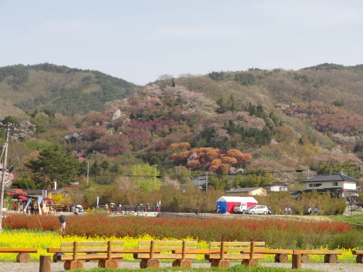 a hill with people walking, a group of trees, and some hills behind it