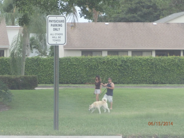 two people walking a dog through the grass