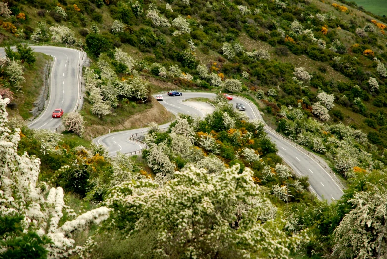 three cars driving on the winding road through the woods