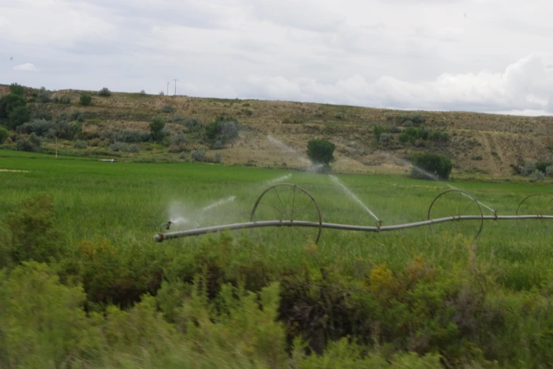 a water sprinkler in the middle of a field