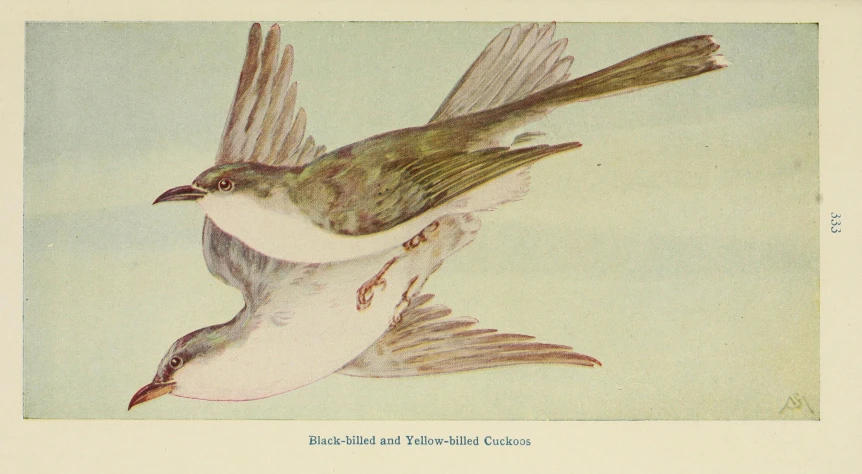 an old - fashioned po depicts a bird flying