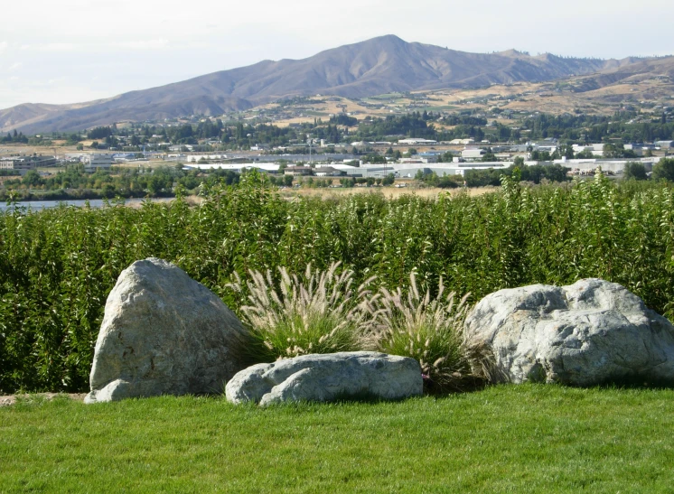 two rocks are next to green grass in the field