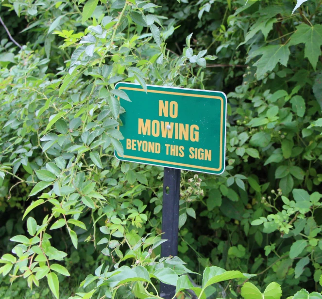a sign stating that there is no mowing beyond this sign