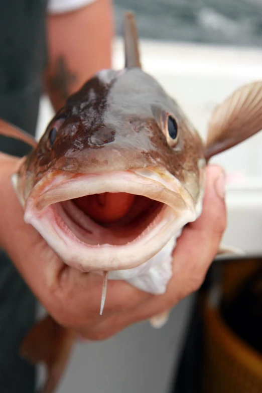 a man holding a fish with its mouth open