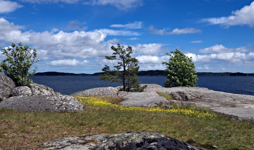 a rock formation with some trees in the middle of it