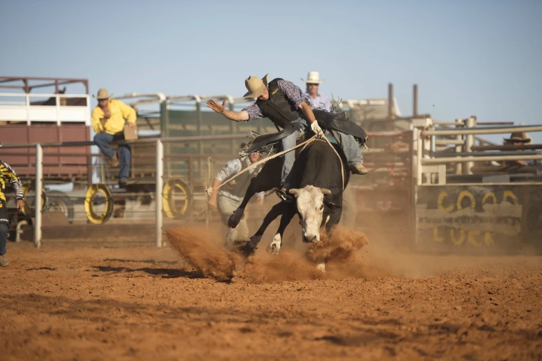 a man trying to rope a bucking bronco at a rodeo