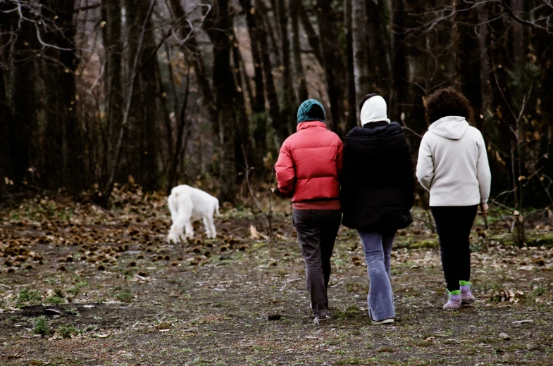 three people walking with their dogs down a road