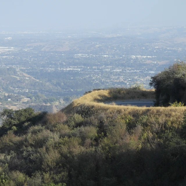 a hill with a couple cows on it