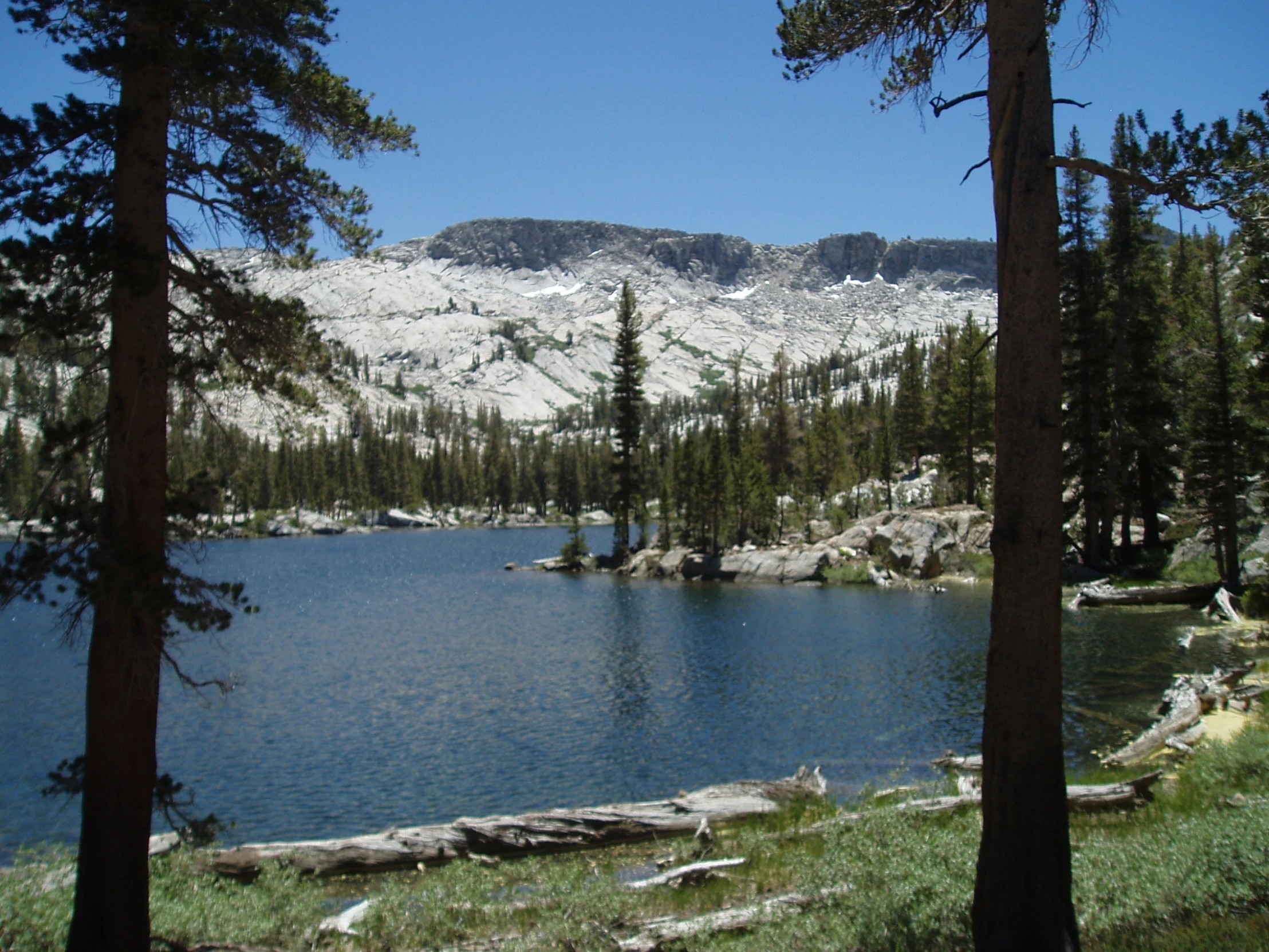 a small lake is surrounded by some trees