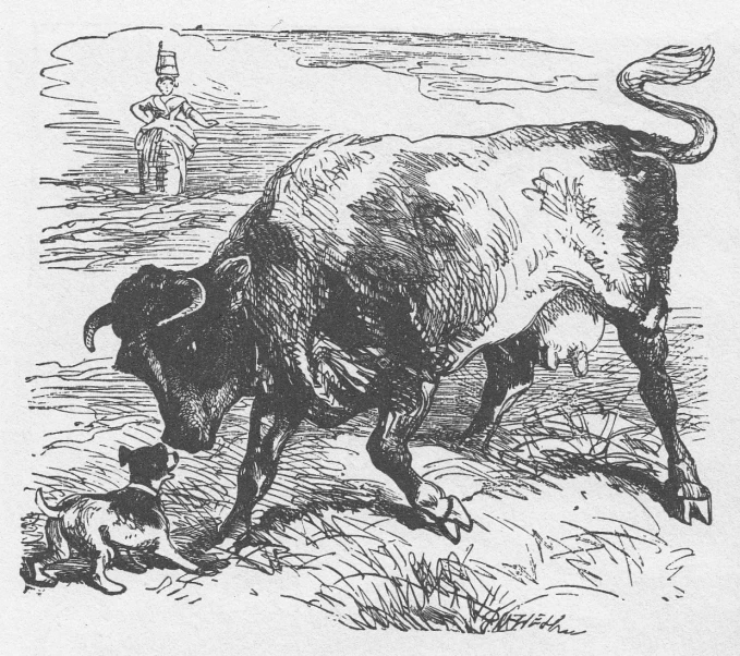 an ox standing next to a dog with horns on its hind legs