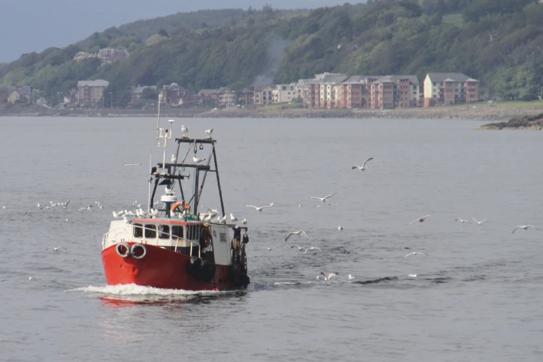 a red and white boat is in the water