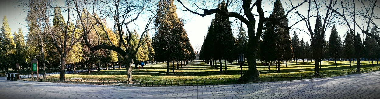 the park has a few benches and trees along the sidewalk