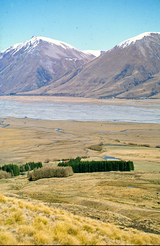 a brown landscape with grass and mountains in the background