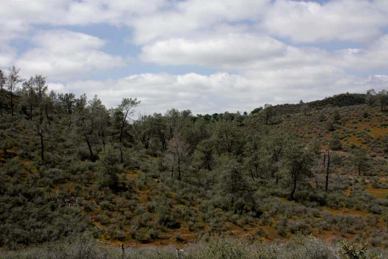 the view over the mountains from a trail