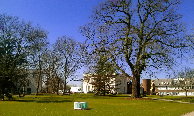 two trees sitting in front of a big building