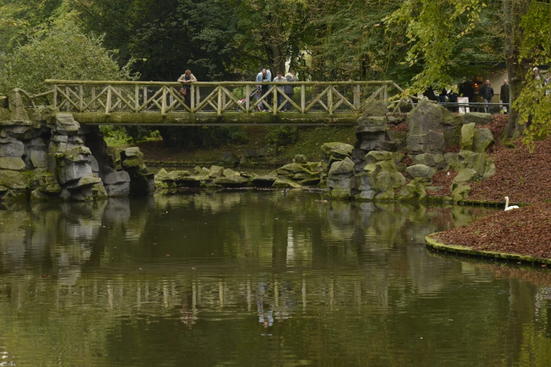 people on bridge over a pond in the woods