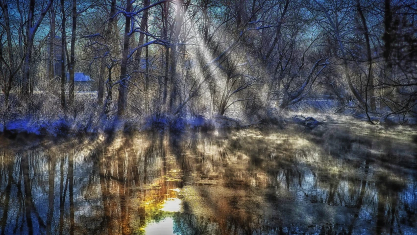 a swamp filled with trees covered in sunlight and a bright sun beam shining through the nches