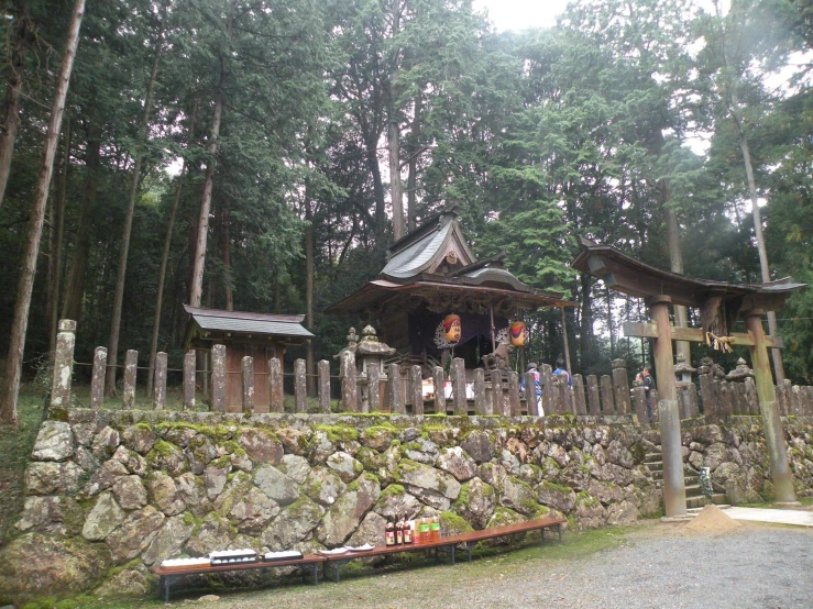 many large statues are in the trees by a stone wall