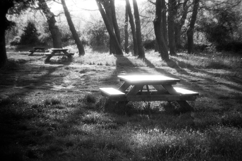 two picnic benches are sitting in the park