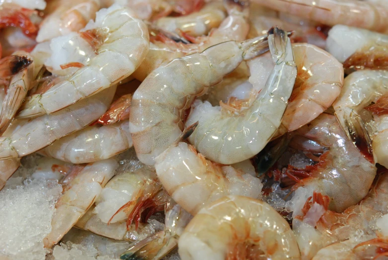 shrimp being cooked in marina sauce on an open plate