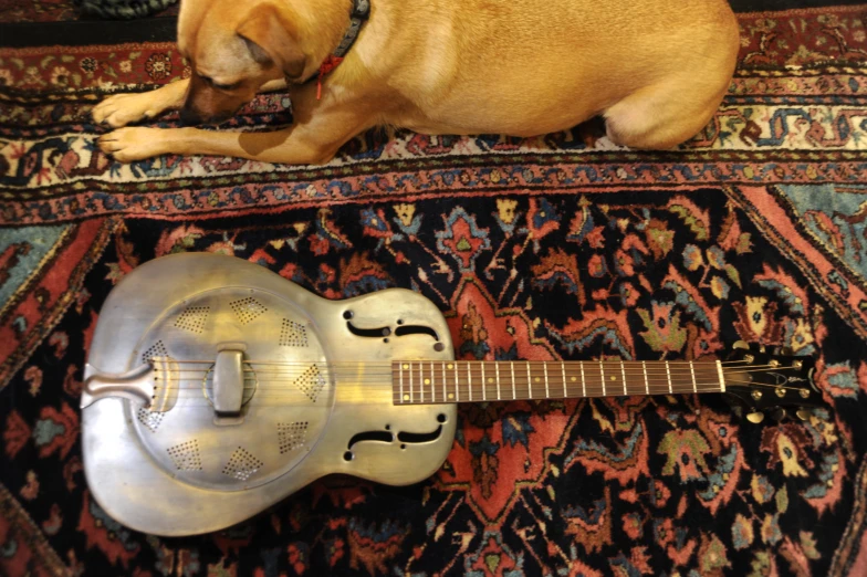 dog laying next to small instrument on decorative rug