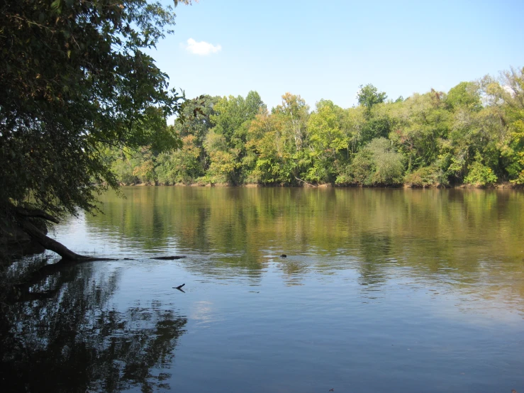 this is a beautiful view of water from the shore