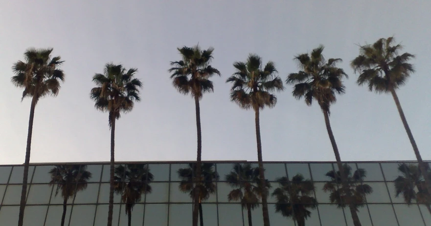 there is a sky full of clouds behind a palm tree lined building