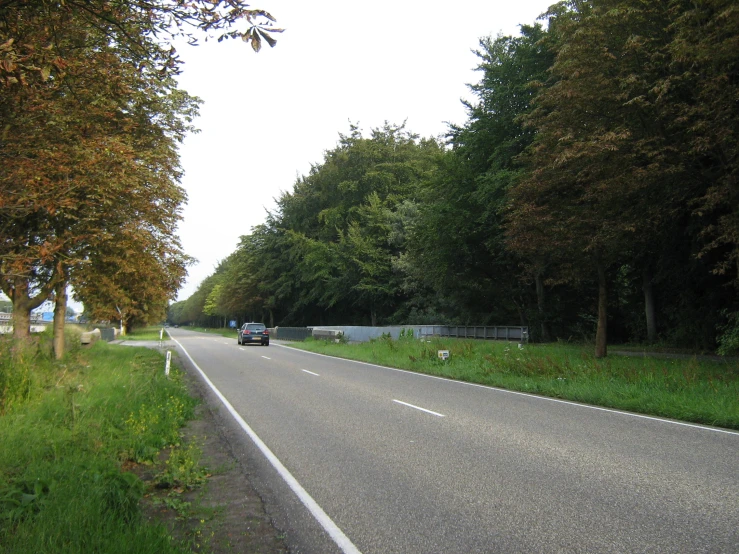 a car parked on the side of a road in front of trees