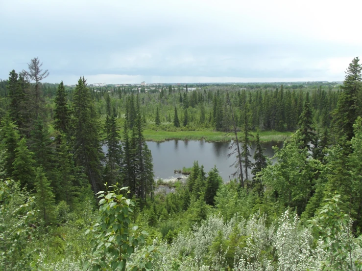 the landscape of an outside resort with a small pond in the middle of it