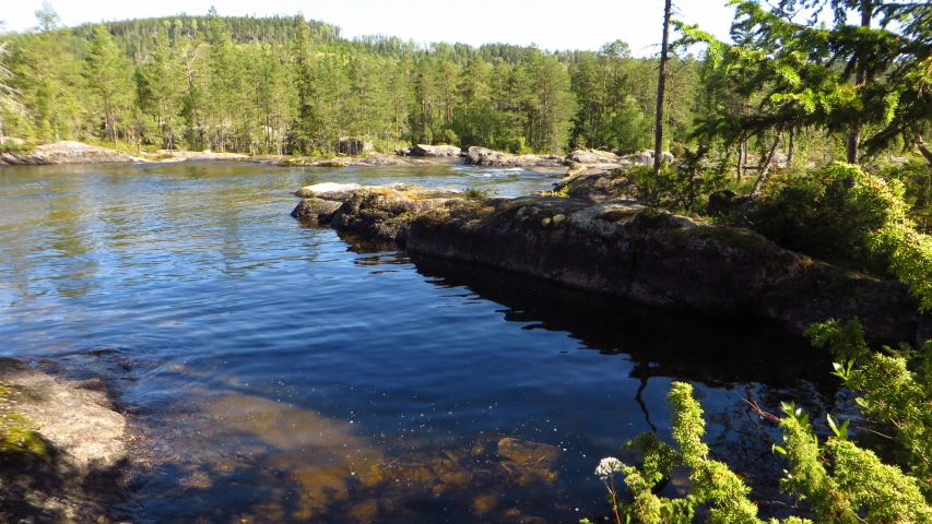 a wide river with many rocks in it