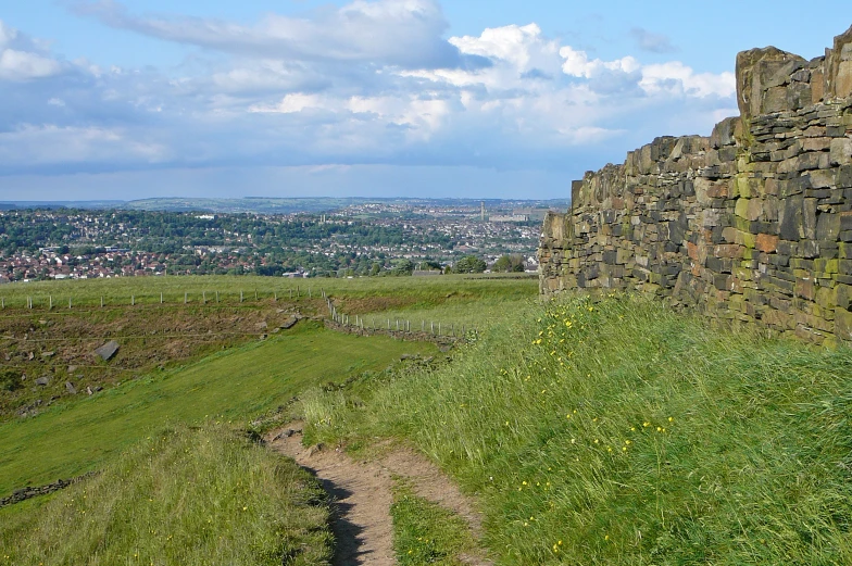 a grassy field by a big rock wall