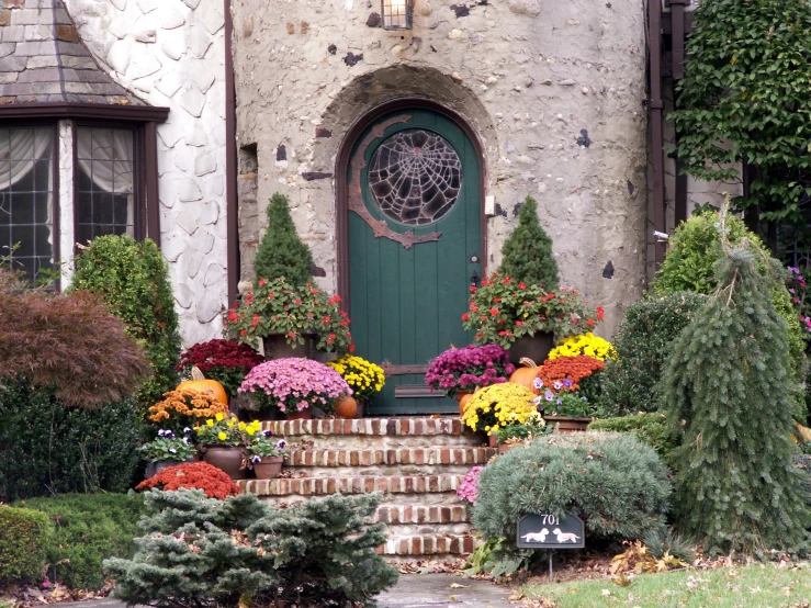 some flowers and plants are near a door