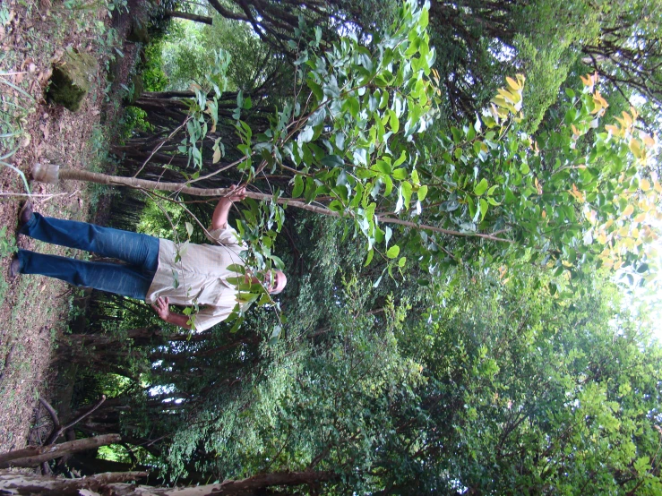 a man standing in the middle of a forest