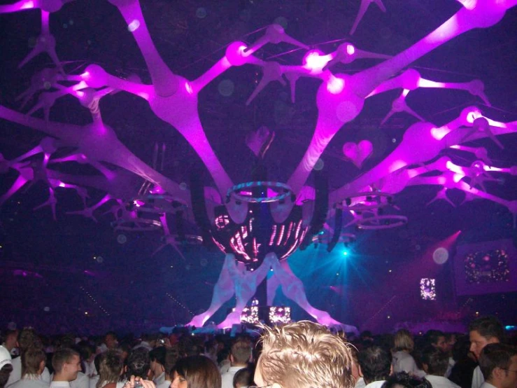 an indoor club with trees, lights and dj's