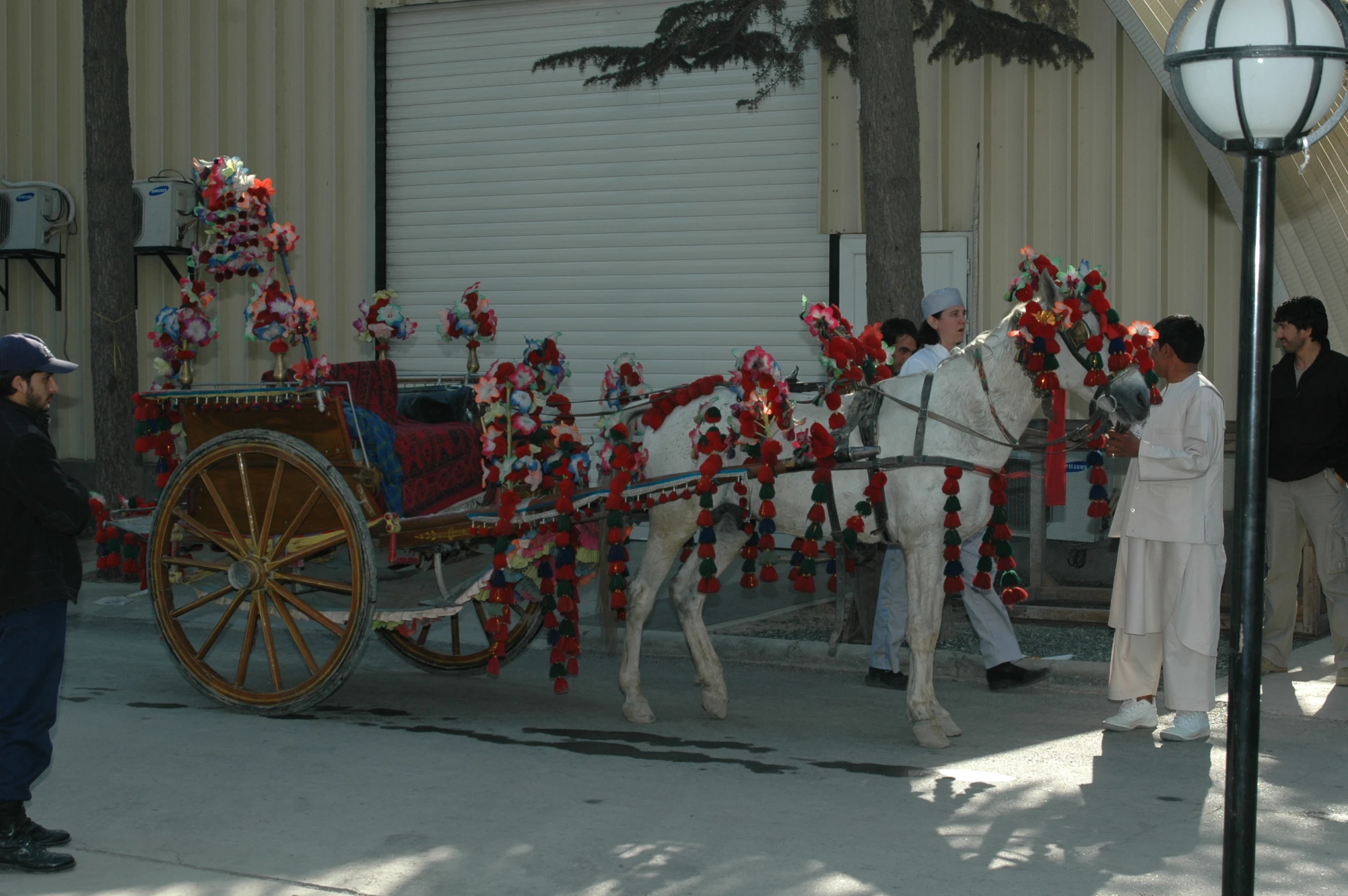 a white horse pulling a covered cart with two men