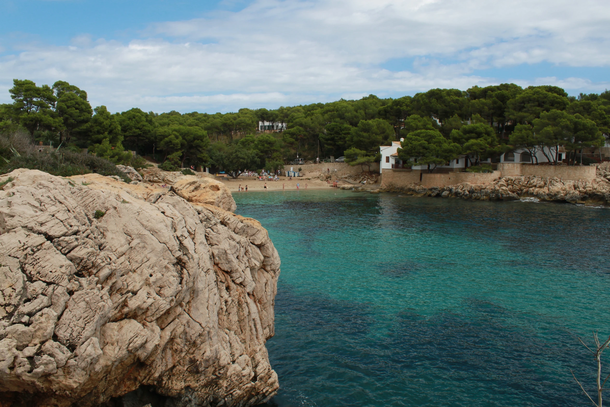 some clear water and some rocky shore