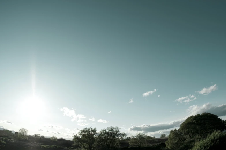 a large field with trees and some water in it