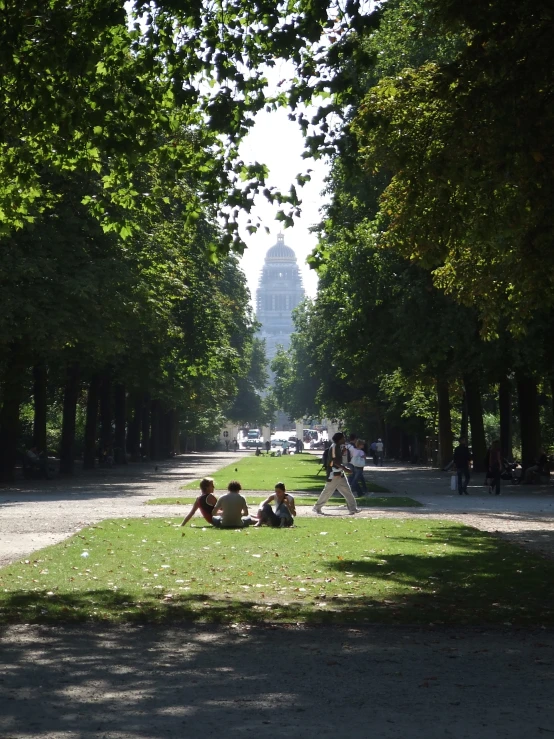 people sit on the ground near some trees and grass