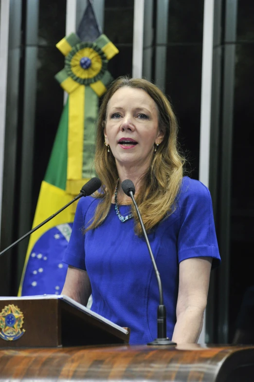 a beautiful woman giving a speech in front of flags